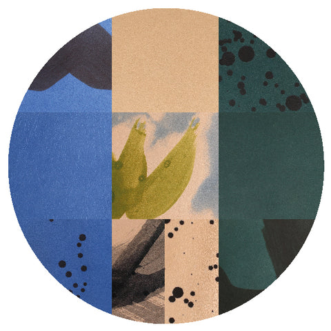 Our Palette of Colors