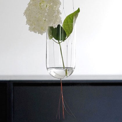 Visible Invisible plant hanger by Annike Laigo